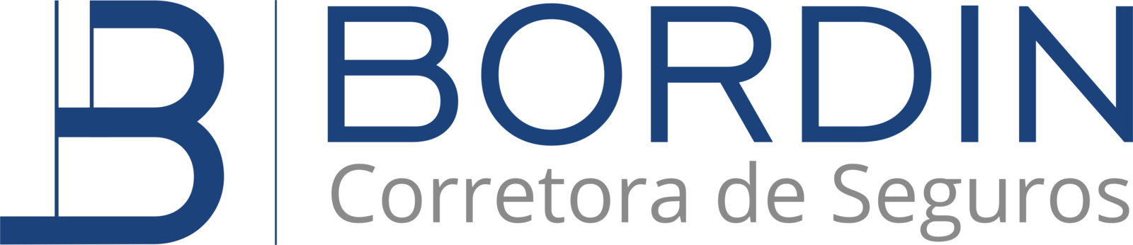 Bordin Seguros